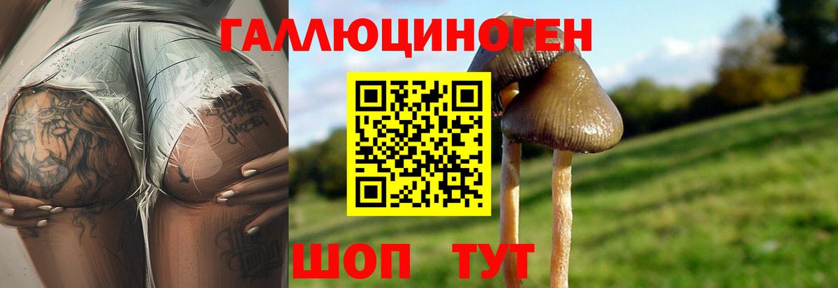 Галлюциногенные грибы Magic Shrooms Сосновоборск